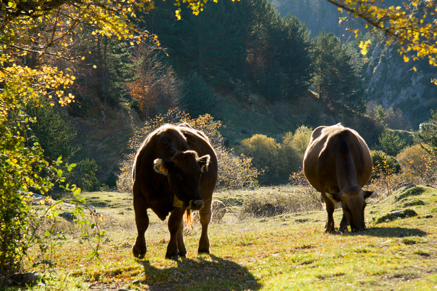 Paisajes y arquitectura